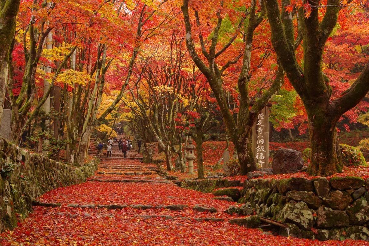 ⛩️ 우베 신사(우베 진자) 이미지 8